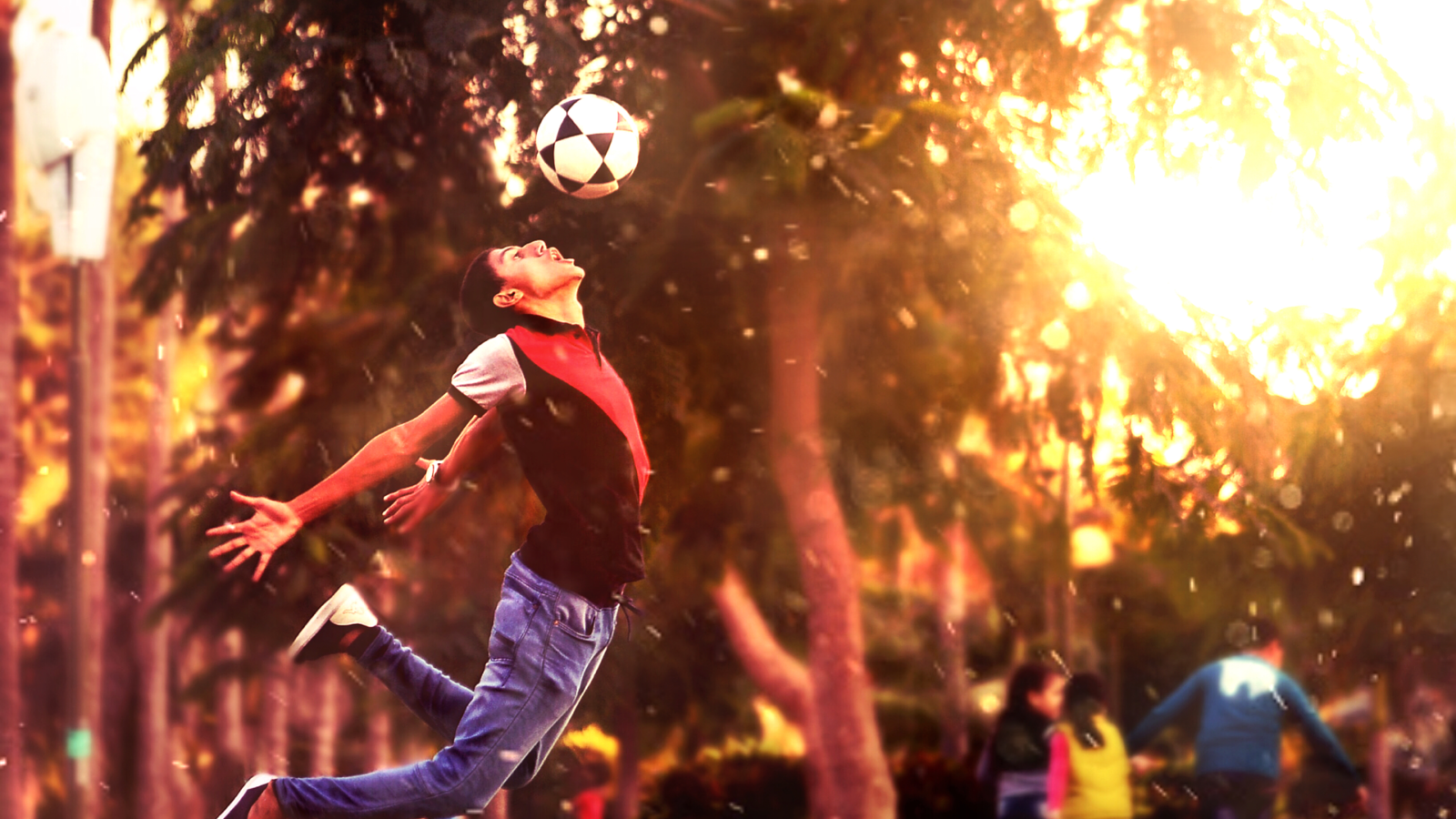 Les équipements sportifs