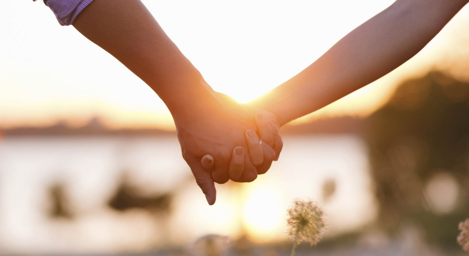 Pacte civil de solidarité (PACS)