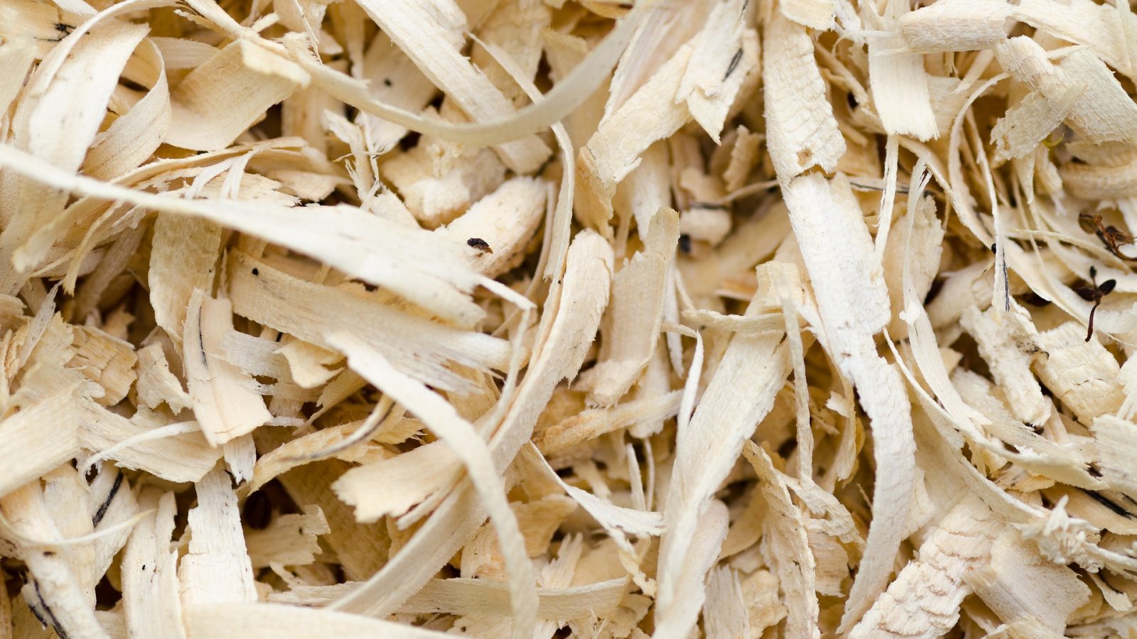 Mise à disposition du service de broyage