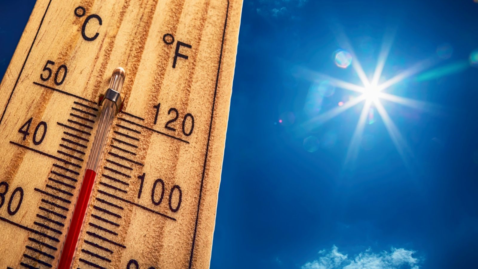 Plan canicule